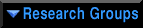 Research Groups