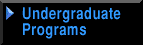 Undergraduate Programs