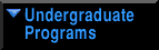Undergraduate Programs