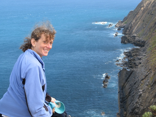 Link to Newland Head