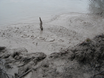 Mud