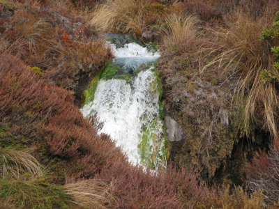 greenfall